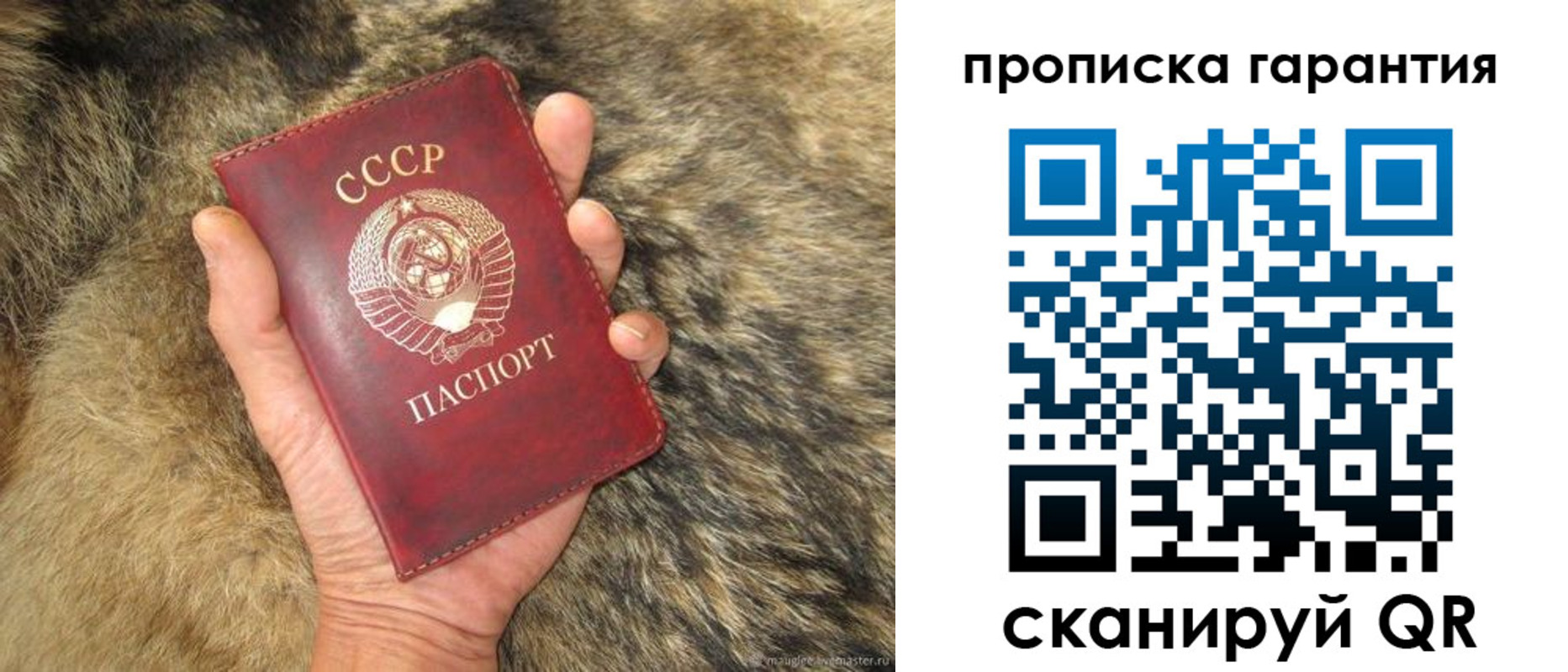 временная регистрация гарантия в Верещагино